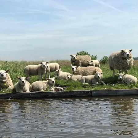 Lejlighed Paleis Noordeinde