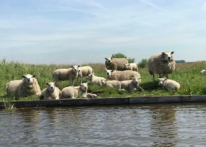 דירה Paleis Noordeinde